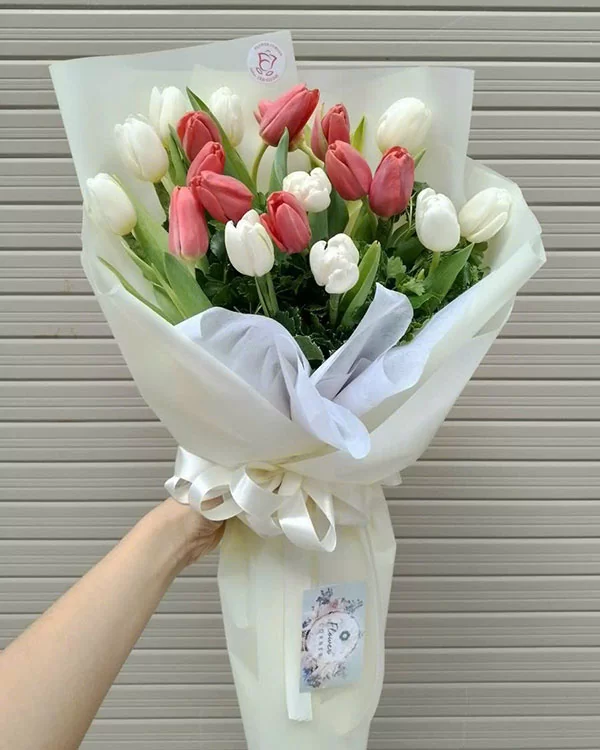 Bó Hoa Tulip - Ánh Ngọc